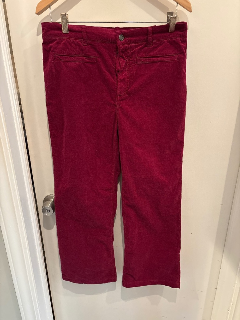 J McLaughlin velvet pants- great color!. Size 8.